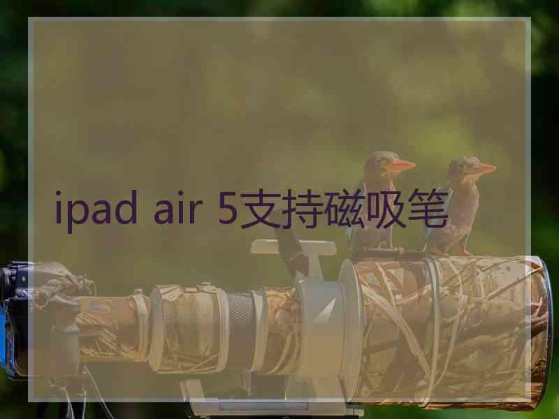 ipad air 5支持磁吸笔