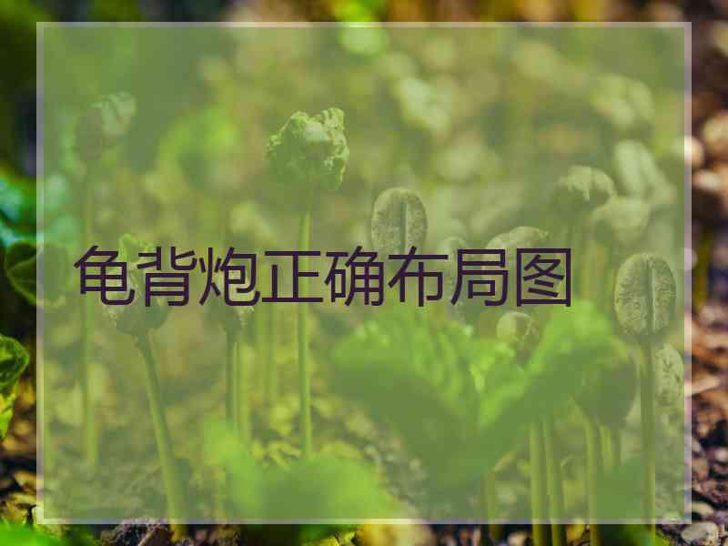 龟背炮正确布局图