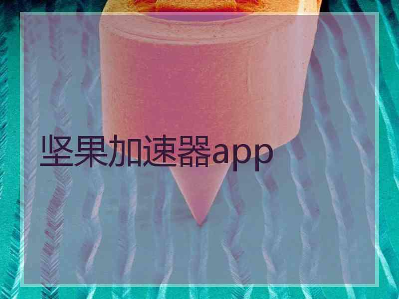 坚果加速器app