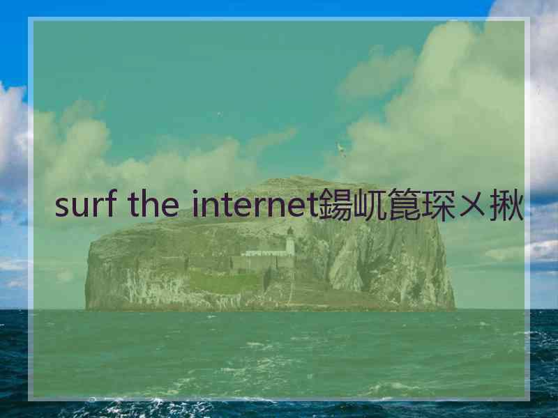 surf the internet鍚屼箟琛ㄨ揪