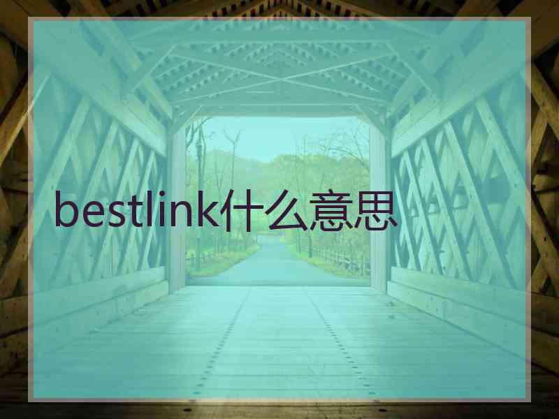 bestlink什么意思