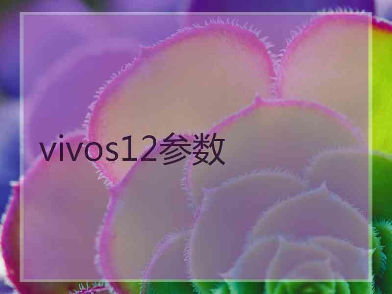 vivos12参数