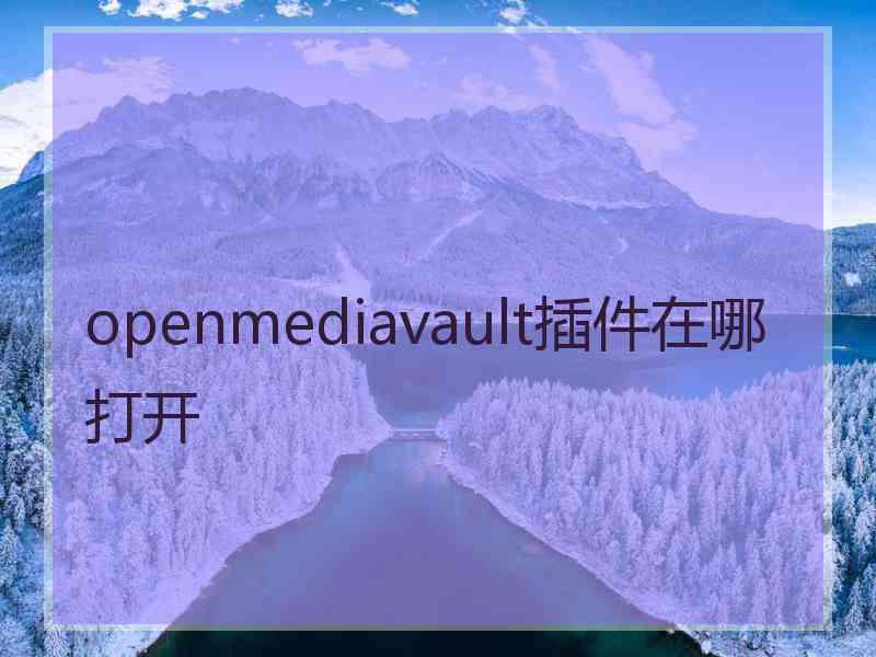 openmediavault插件在哪打开