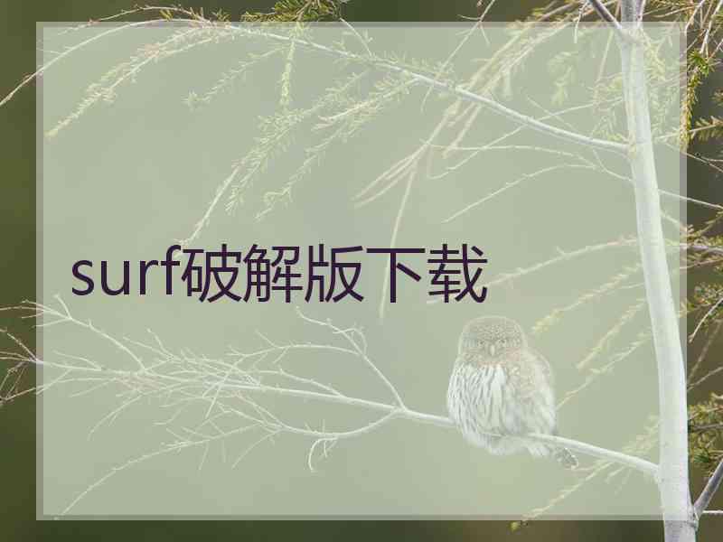 surf破解版下载