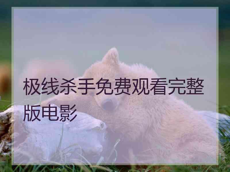 极线杀手免费观看完整版电影