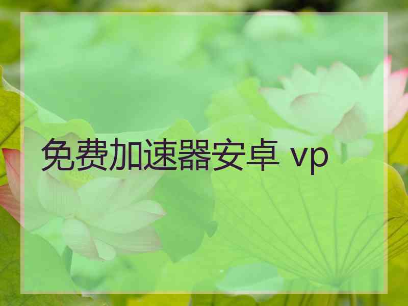 免费加速器安卓 vp