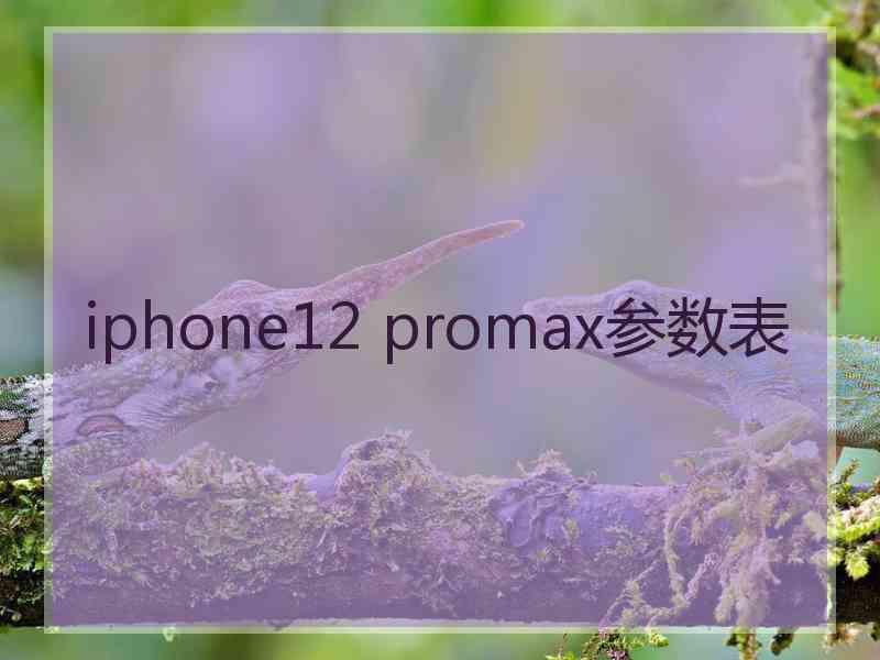 iphone12 promax参数表