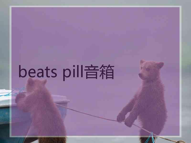 beats pill音箱