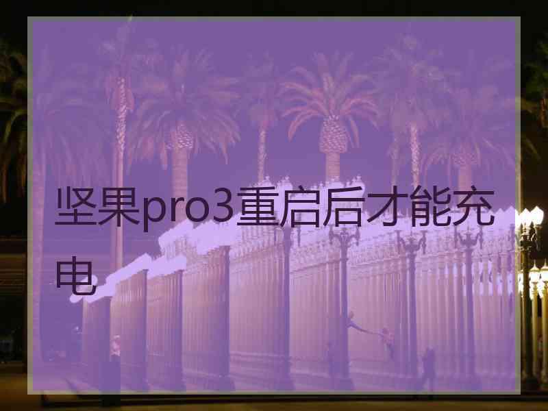 坚果pro3重启后才能充电