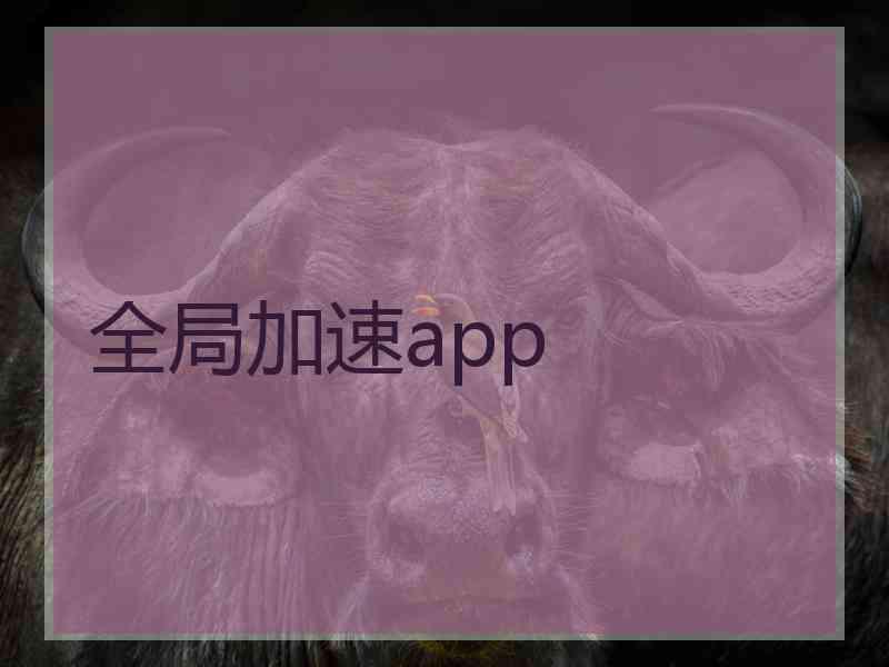 全局加速app