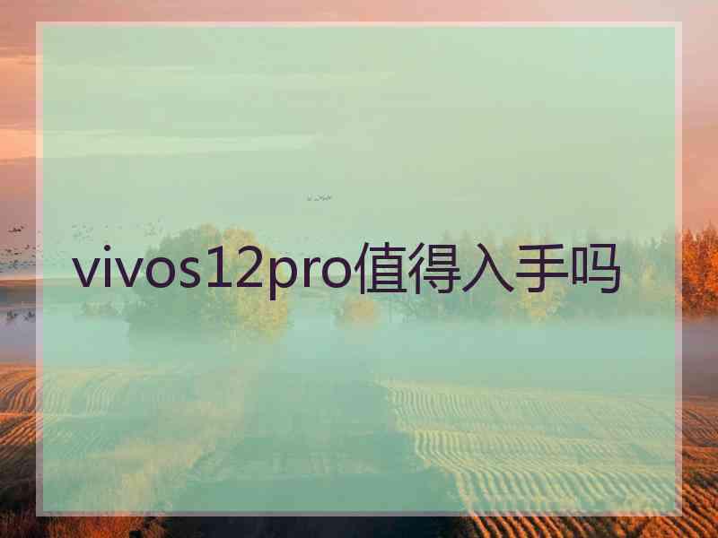 vivos12pro值得入手吗