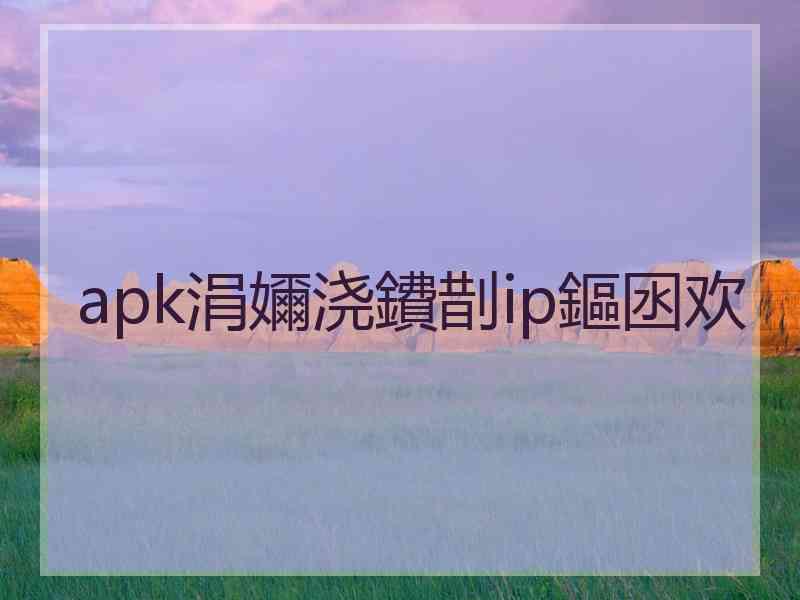 apk涓嬭浇鐨剒ip鏂囦欢