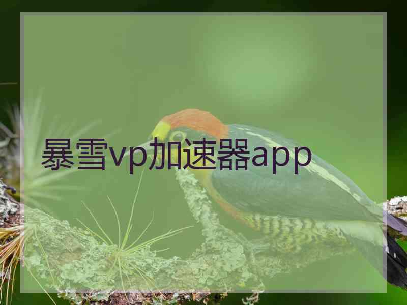 暴雪vp加速器app