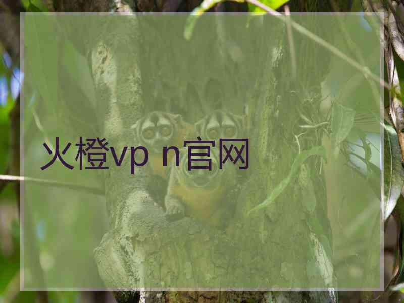 火橙vp n官网