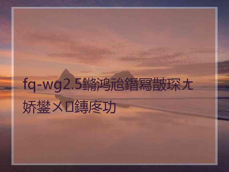 fq-wg2.5鏅鸿兘鐕冩皵琛ㄤ娇鐢ㄨ鏄庝功