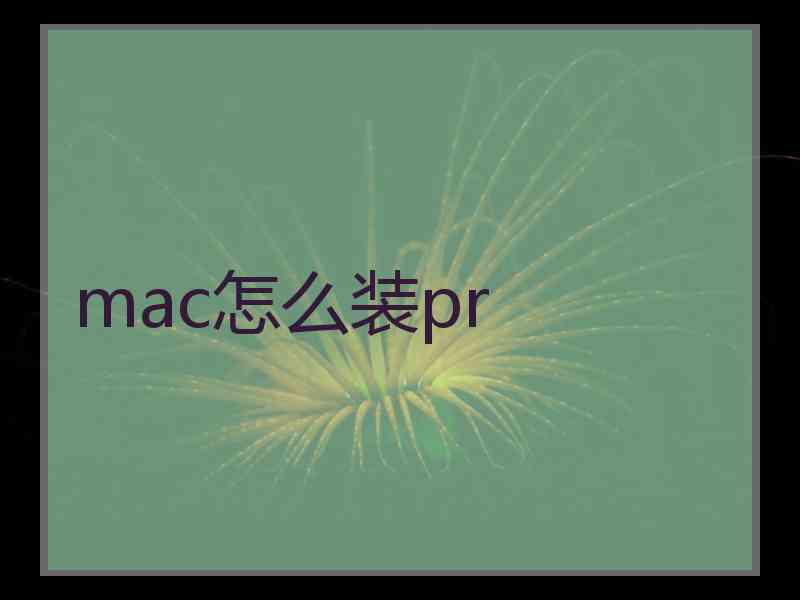 mac怎么装pr