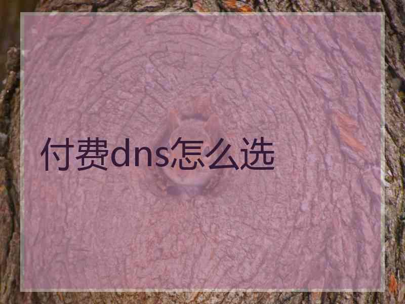 付费dns怎么选