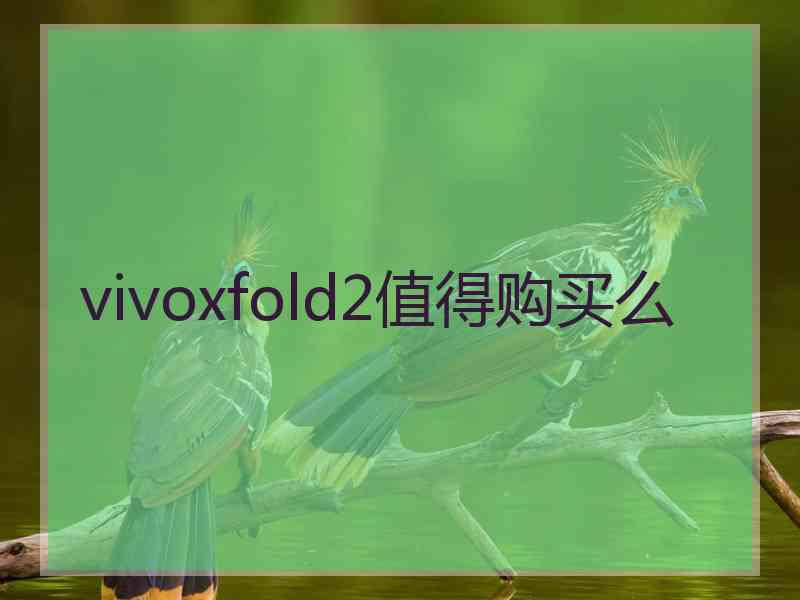 vivoxfold2值得购买么