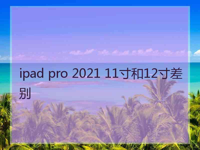 ipad pro 2021 11寸和12寸差别