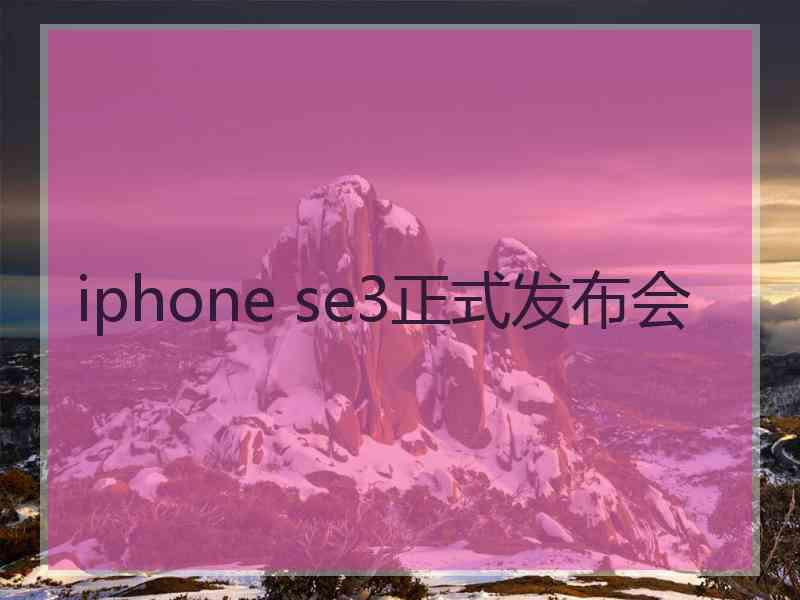 iphone se3正式发布会