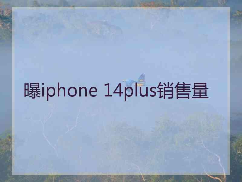 曝iphone 14plus销售量