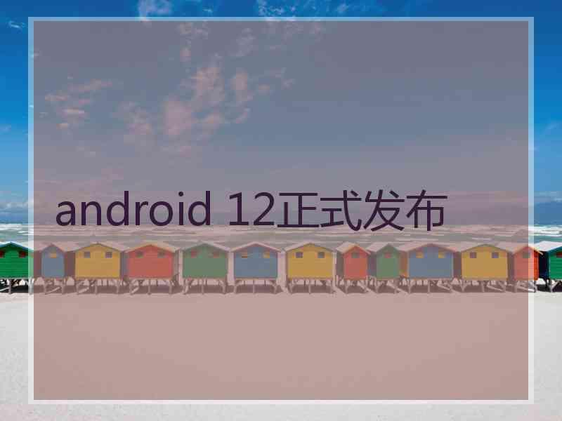 android 12正式发布