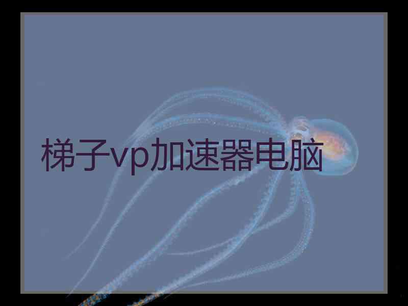 梯子vp加速器电脑