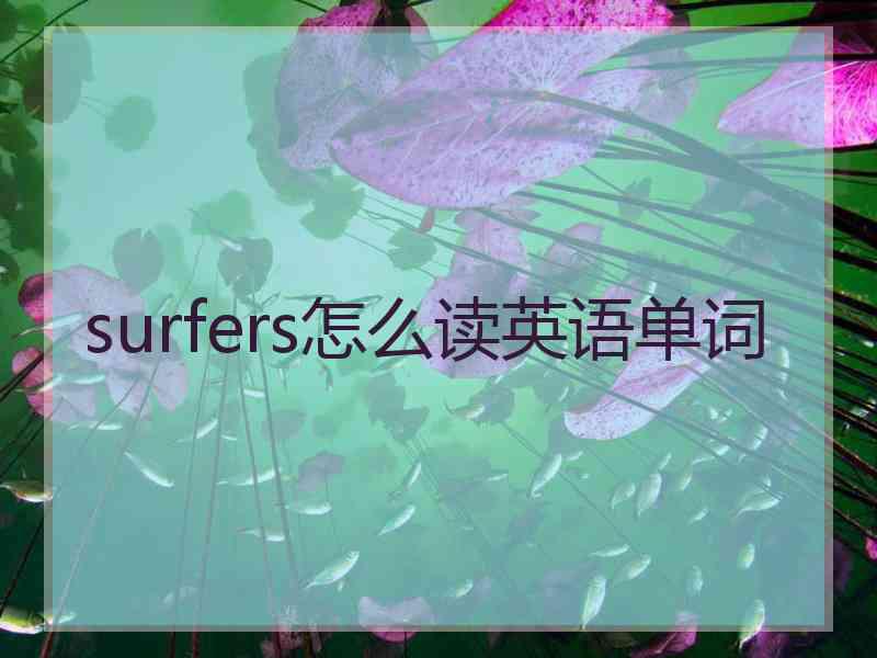 surfers怎么读英语单词