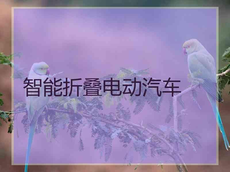 智能折叠电动汽车