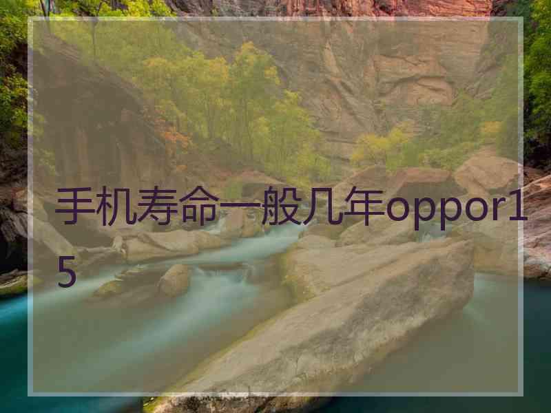 手机寿命一般几年oppor15