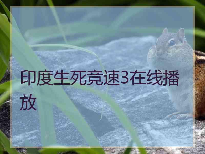 印度生死竞速3在线播放