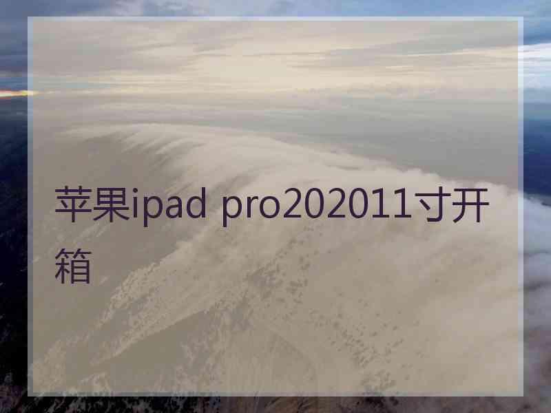 苹果ipad pro202011寸开箱