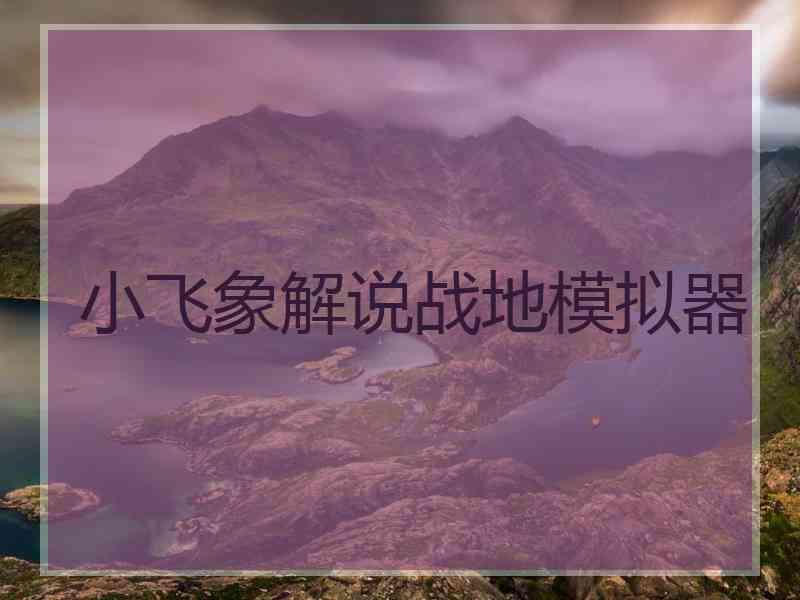 小飞象解说战地模拟器