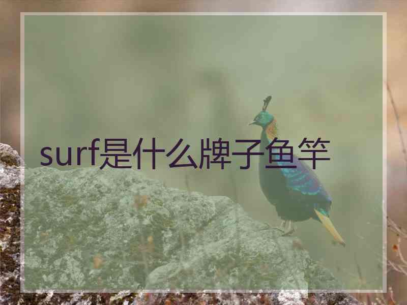 surf是什么牌子鱼竿