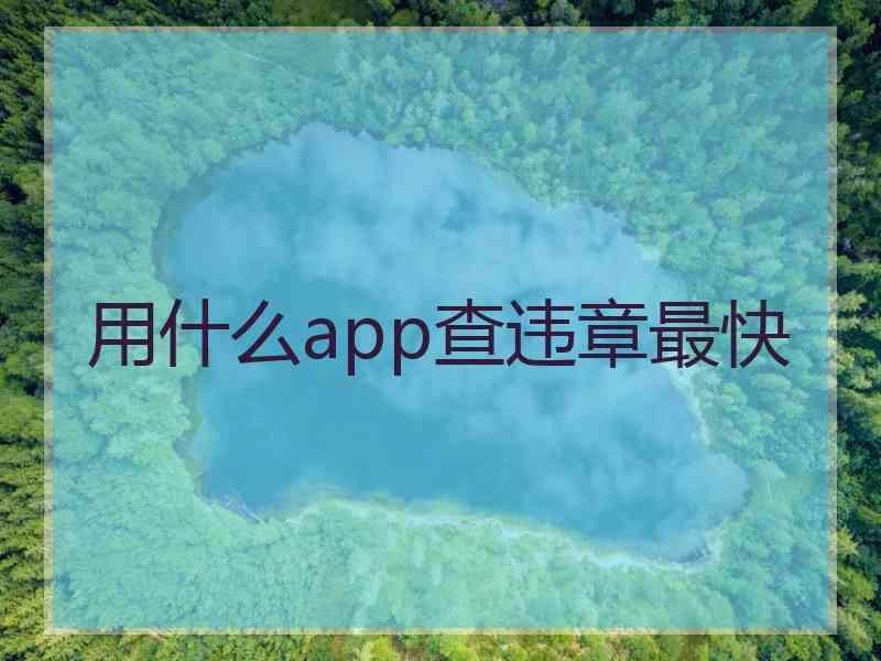 用什么app查违章最快