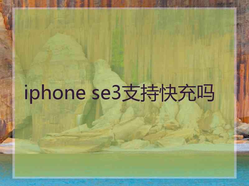 iphone se3支持快充吗