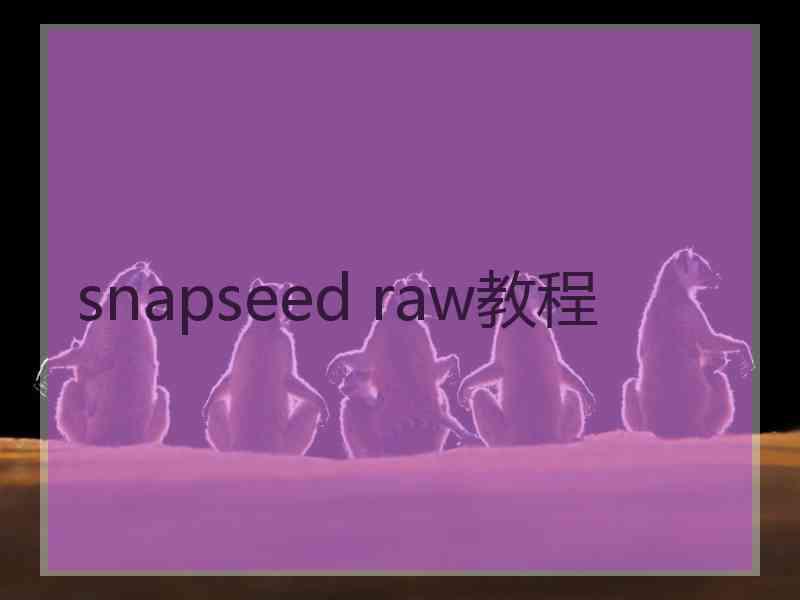 snapseed raw教程