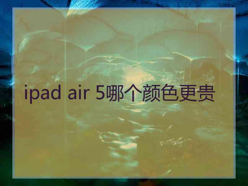 ipad air 5哪个颜色更贵