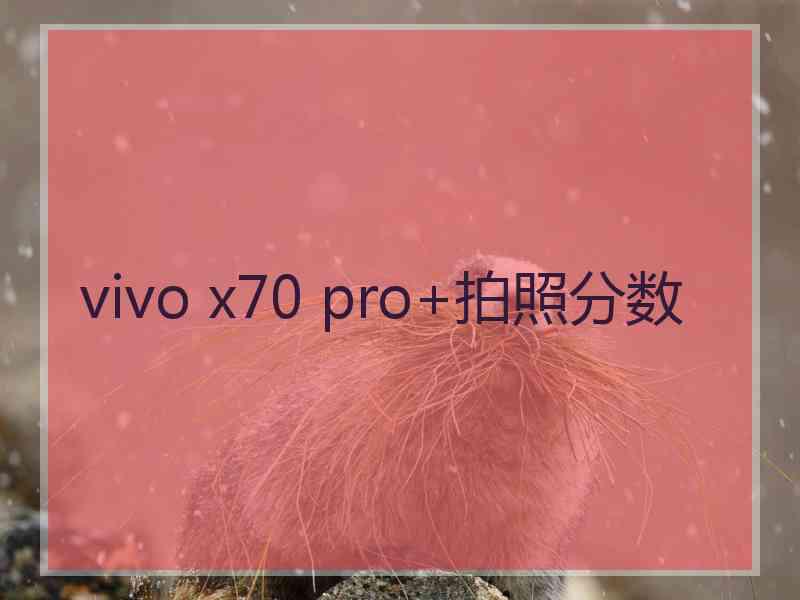 vivo x70 pro+拍照分数