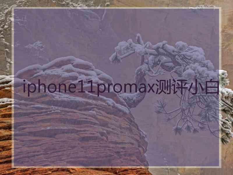 iphone11promax测评小白