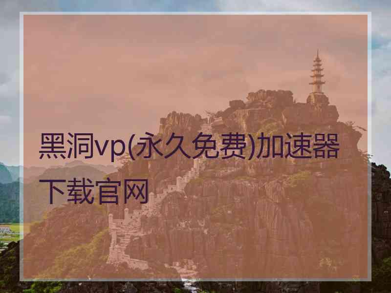 黑洞vp(永久免费)加速器下载官网