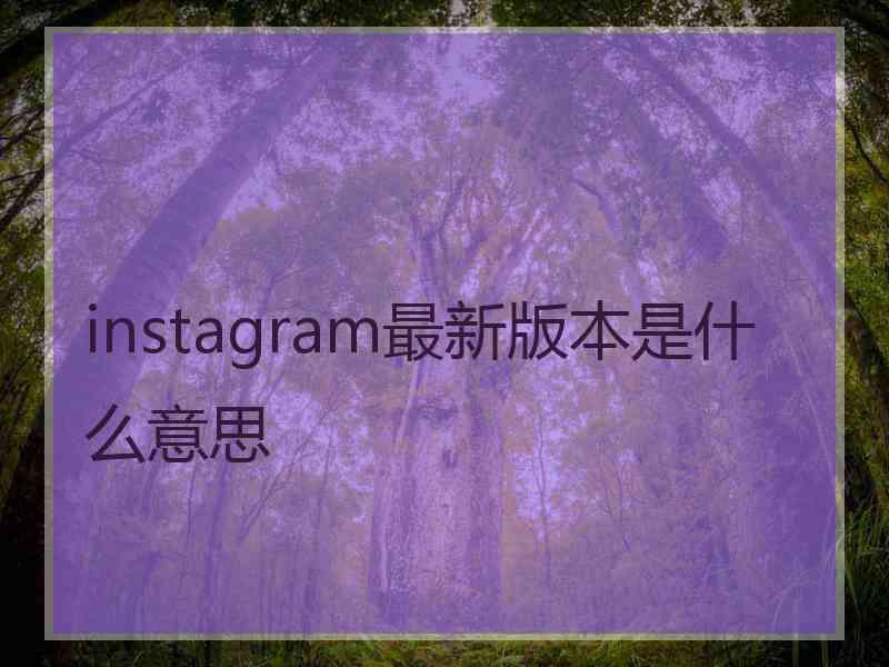 instagram最新版本是什么意思