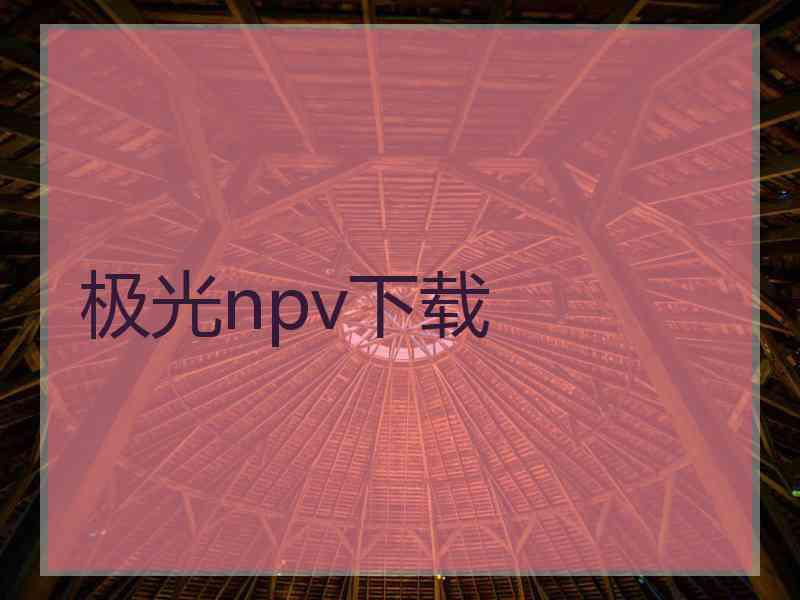 极光npv下载