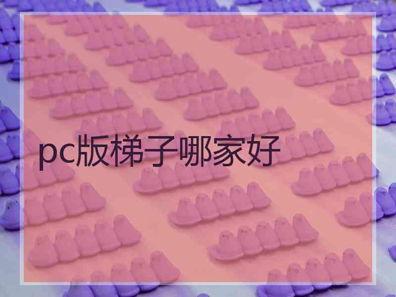 pc版梯子哪家好