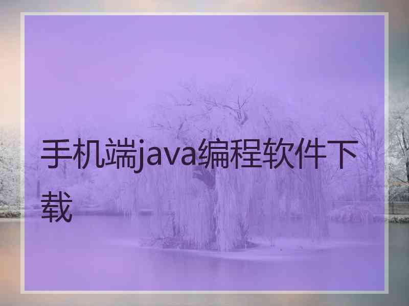 手机端java编程软件下载