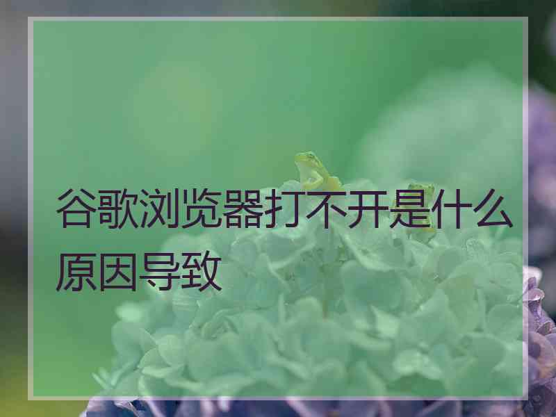 谷歌浏览器打不开是什么原因导致