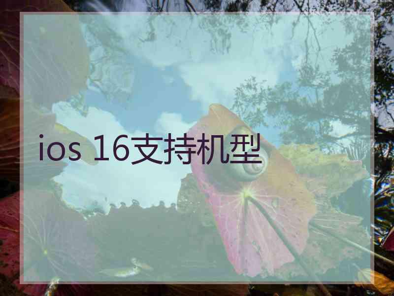 ios 16支持机型