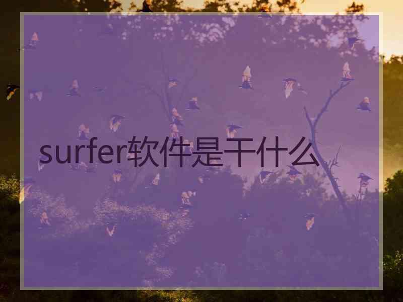 surfer软件是干什么