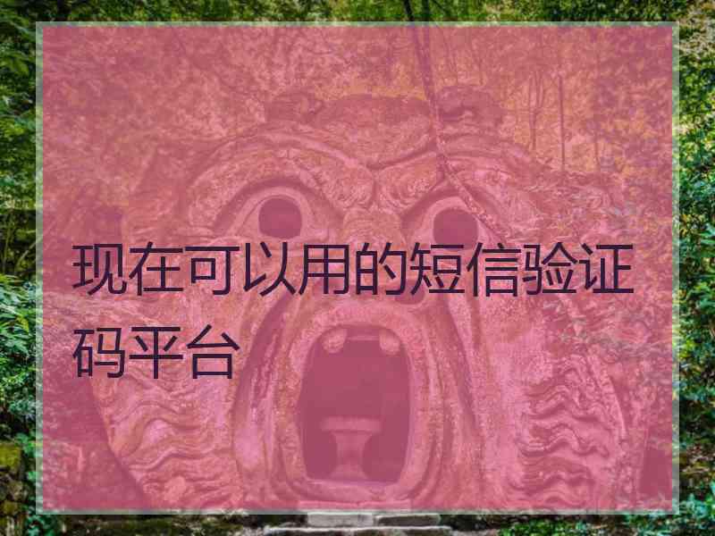 现在可以用的短信验证码平台