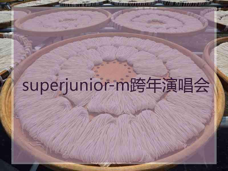 superjunior-m跨年演唱会